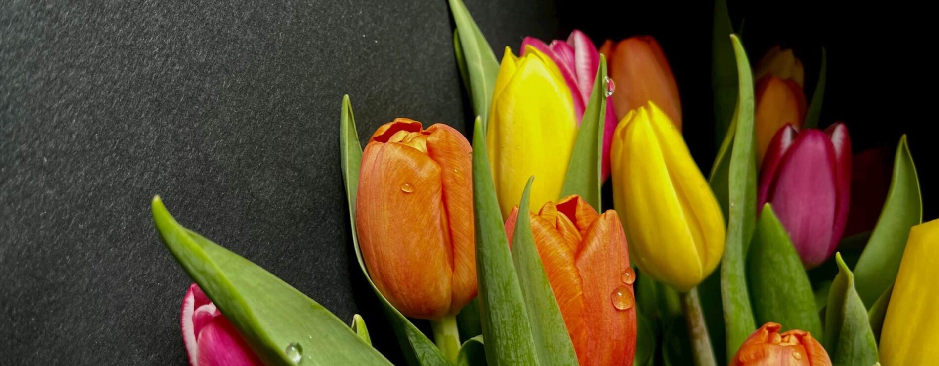 Darček na Deň žien, ktorý nikdy nesklame 🌷