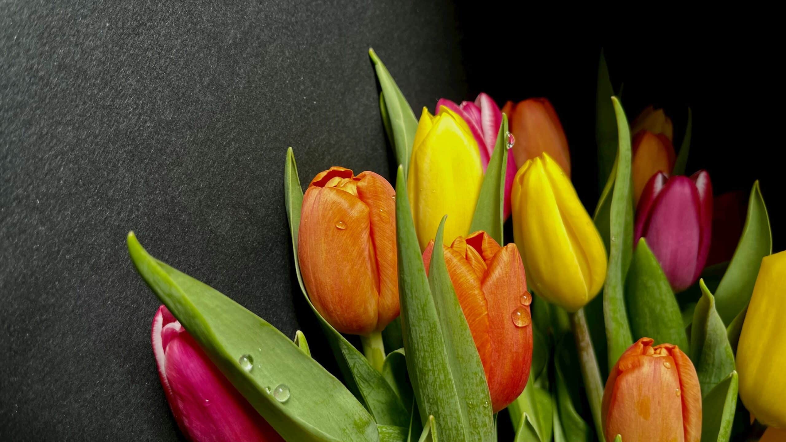 Darček na Deň žien, ktorý nikdy nesklame 🌷